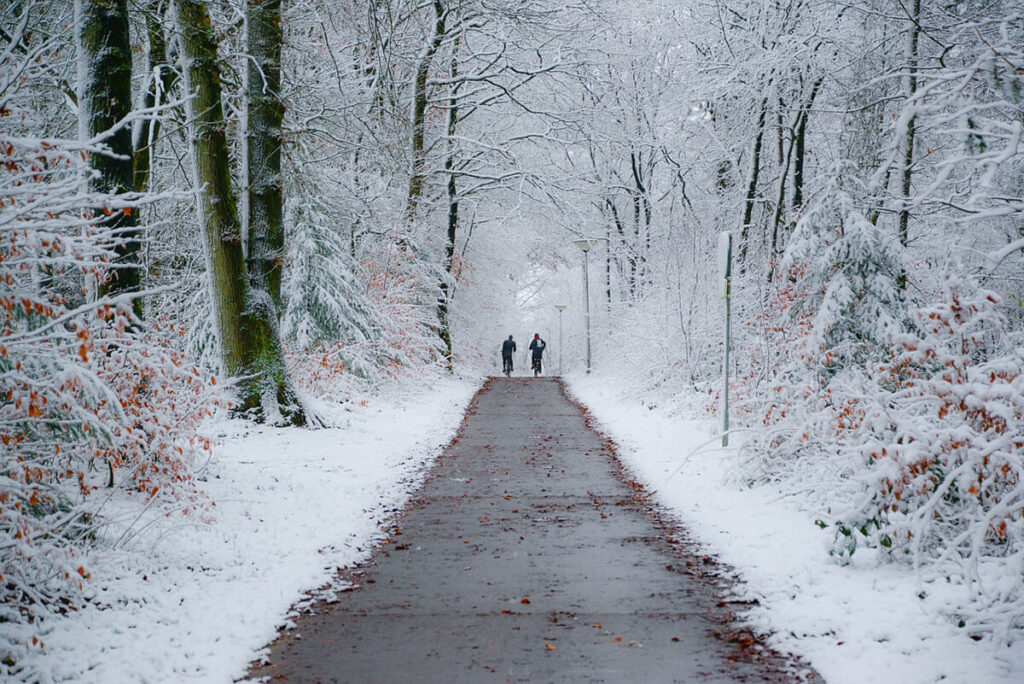 winter cyclists