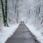 winter cyclists