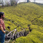 Cycling_trip_touring